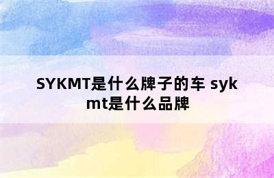 SYKMT是什么牌子的车 sykmt是什么品牌